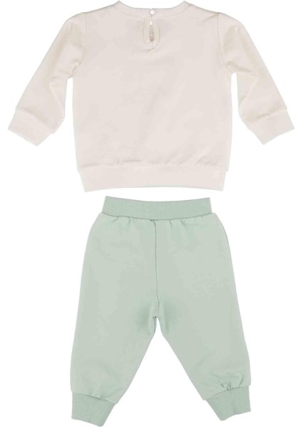 Kız Bebek Tavşan Baskılı Iki Renkli Takım fiyatları