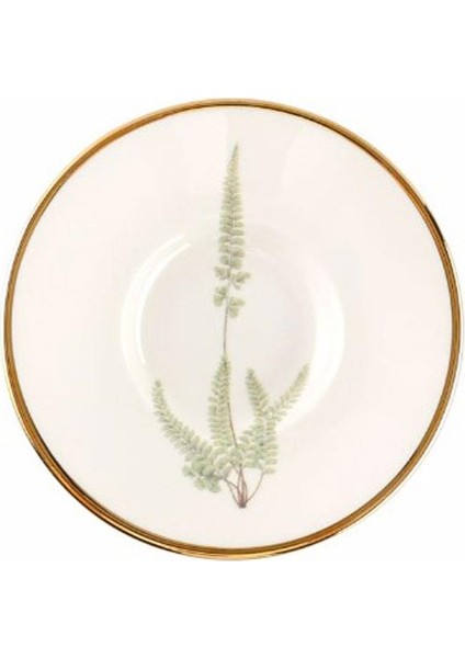 Botanical 6lı Çay Tabağı 11cm fiyatları