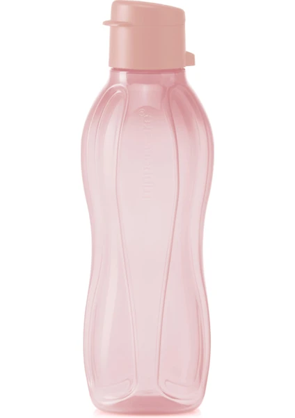 Eco Şişe 500ML Pamuk Şeker