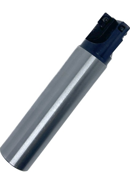 Saplı Tarama Freze Kafası D025-2, 25X200 mm Takım Ölçüsü, (2 Adet Rdmt 10 Kesici Uç Kullanır) - 1 Adet