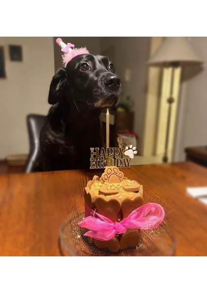 Köpekler Için Doğum Günü Parti Seti (Pembe) - Doğum Günü Pastası, Tasarım Pleksi, Doğum Günü Şapkası indirimleri