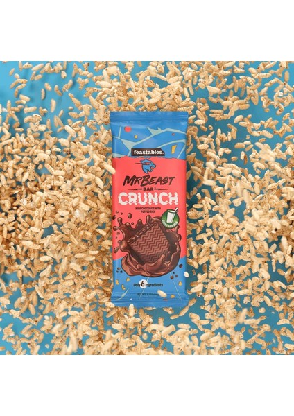 Mr Beast Milk Chocolate Crunch Chocolate Bar 60 gr