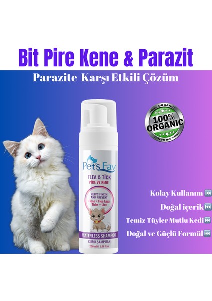 Pets Fav Kedi Bit Pire Kene ve Parazit Önleyici Kuru Köpük Şampuanı