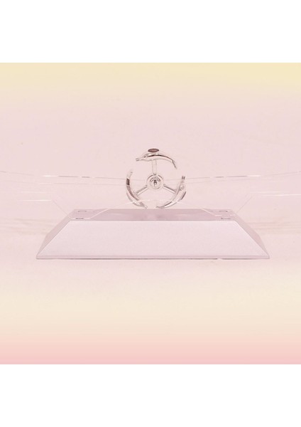 Dekoratif Masa Üstü Obje Manyetik Kinetik Orbital Dönen Yunuslar