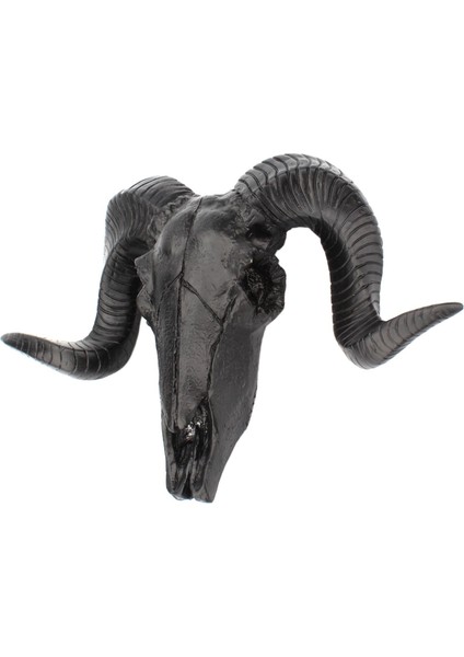 Kafatası Kafası Monte Heykeli Ev Dekoru (Yurt Dışından)