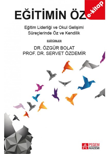 Eğitimin Özü (e-kitap)