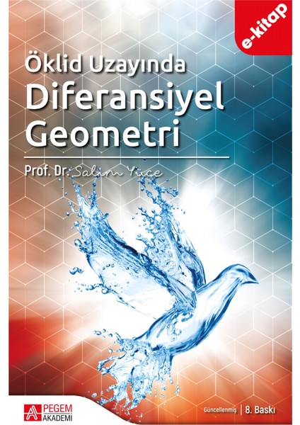 Öklid Uzayında Diferansiyel Geometri(e-kitap)