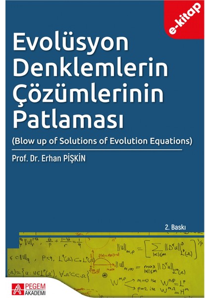 Evolüsyon Denklemlerin Çözümlerinin Patlaması (e-kitap)