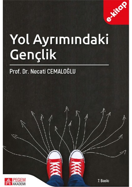 Yol Ayrımındaki Gençlik (e-kitap)