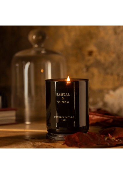 Santal & Tonka Mum 600 gr fiyatları