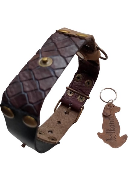 Köpek boyun tasması hakiki deri siyah kahverengi genişlik:3cm boyun ölçüsü:S.27-35cm ayarlamalı dog collar T1-20