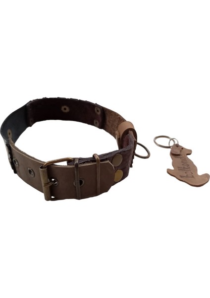 Köpek boyun tasması hakiki deri siyah kahverengi genişlik:3cm boyun ölçüsü:S.27-35cm ayarlamalı dog collar T1-20