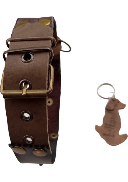 Köpek boyun tasması hakiki deri siyah kahverengi genişlik:3cm boyun ölçüsü:S.27-35cm ayarlamalı dog collar T1-20