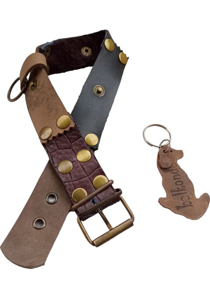 Köpek boyun tasması hakiki deri siyah kahverengi genişlik:3cm boyun ölçüsü:S.27-35cm ayarlamalı dog collar T1-20