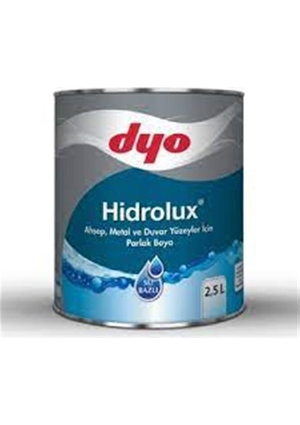More Home Dyo Hidrolux Su Bazlı Parlak Boya Beyaz 2,5 L