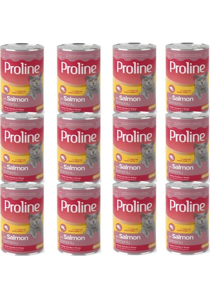 Proline Somonlu Sos Içinde Et Parçacıklı Yetişkin Kedi Konserve x 12 Adet