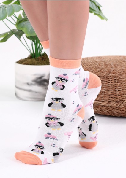 Penguen Desenli Beyaz Renkli Çorap fiyatları