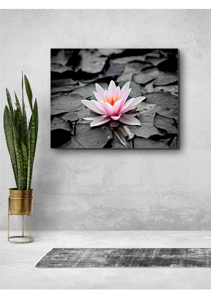 Lotus Çiçeği Nilüfer Kanvastablo