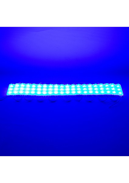 Powermaster 12 Volt 1.5 Watt Mavi 2835 69 x 16 mm IP65 Lümen 160 Derece Modül LED fiyatları