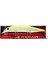 Realis Jerkbait 120SP CCC3028 Ghost Chart 1