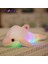 Adet 32CM Renkli Parlayan Yunus Peluş Oyuncak Kawaii Aydınlık Peluş Bebek Dolması Bebek LED Işık ile Sevimli Hediye Çocuklar Kızlar Için (Yurt Dışından) 2