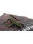 Stretch Leopar Desenli Kertenkele 1