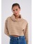 Stripe Lover Kadın Bej Boğazlı Çizgili Crop Sweat 1