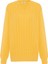 Zacha 'v Neck' Neck Pullover Üç Boyut Çizgili Mevsimlik Erkek Triko Kazak - Sarı 1