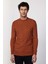 Slim Fit Bisiklet Yaka Desenli Tarçın Erkek Triko Kazak 1