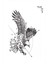 Kartal Geçici Dövme Tattoo HB-840 1