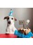 Köpekler Için Doğum Günü Parti Seti (Mavi) - Doğum Günü Pastası, Tasarım Pleksi, Doğum Günü Şapkası 4
