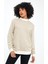 Bisiklet Yaka Çizgili Sweatshirt(E23-761A-Byn) 3