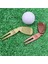 Golf Divot Onarım Aracı Pitch Oluk Temizleyici Golf Pitchfork Yeşil Çatal Golf Eğitim Yardımları Koyarak (Yurt Dışından) 3