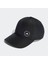 IP0394 Asmc Cap 1