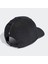 IP0394 Asmc Cap 2