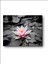 Lotus Çiçeği Nilüfer Kanvastablo 3
