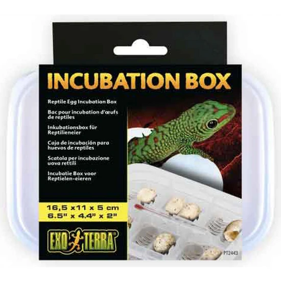 Exo Terra Incubation Box 276097