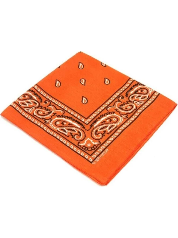 Shopiolog  Etnik Desenli Bandana