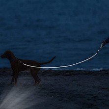 Yiqln 1 Adet Isırma Önleyici Köpek Tasması - Siyah Kauçuk Kaplı 2 Metre (Yurt Dışından)