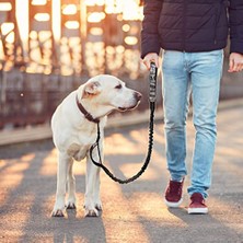 Yiqln 1 Adet Köpek Tasması-Tek Halat-Lakelan (Yurt Dışından)