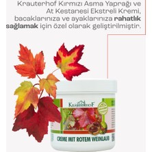 Krauterhof Kırmızı Asma Yaprağı Kremi 250 ml x 2 Adet