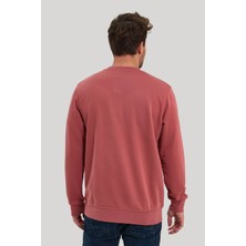 New World Polo Bisiklet Yaka Kestane Slim Fit Sweatshirt 23FWM60166