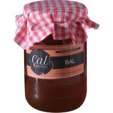 Çal Garası Süzme Bal (Çam ve Kekik Balı) 1 kg