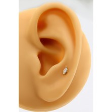 Altınkesesi Altın Kıkırdak Küpe Tekli Markiz Piercing Tragus Helix