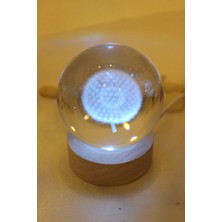 Rahan 3D LED Işık Cam Küre Çok Işıklı Ahşap Hindiba Çiçeği