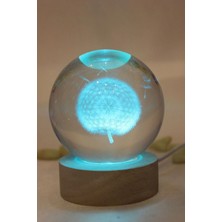 Rahan 3D LED Işık Cam Küre Çok Işıklı Ahşap Hindiba Çiçeği