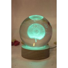 Rahan 3D LED Işık Cam Küre Çok Işıklı Ahşap Hindiba Çiçeği