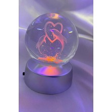Rahan 3D LED Işık Cam Küre Çok Işıklı Pilli Kalp Yunus