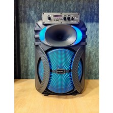 Hepu HP-949 Mikrofonlu Bluetooth Parti Hoparlörü 10 Inc Extra Bass
