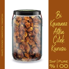 Zencefil Organik Cam Kavanozda Katkısız Altın Çilek Kurusu 660 cc Pure Dried Goldenberry